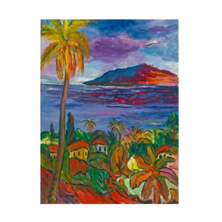 Manor Shadian 'Pacific Peaceful Shores' Canvas Art,18x24